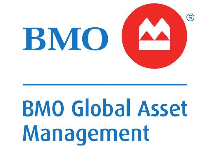 bmo am group holdings limited